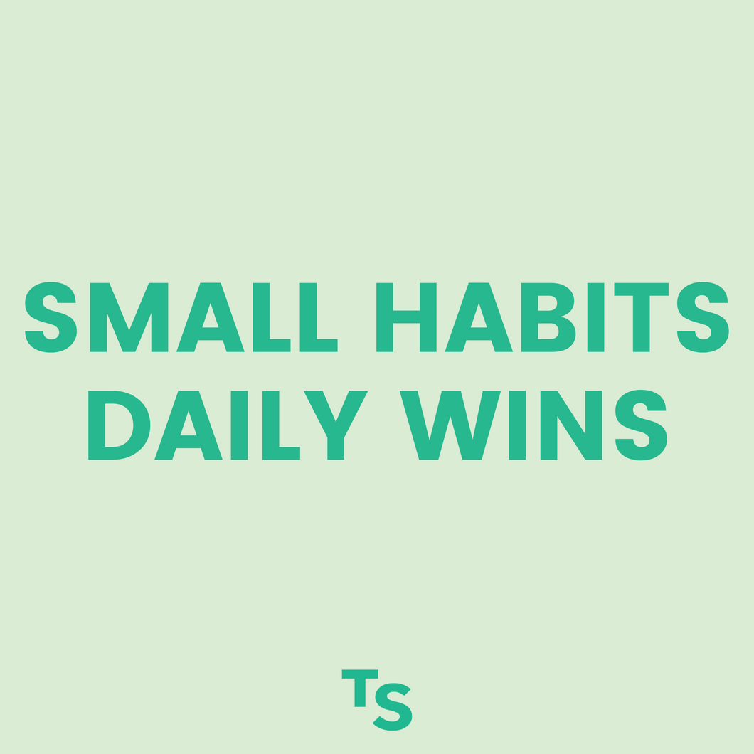 SMALL HABITS - daily wins